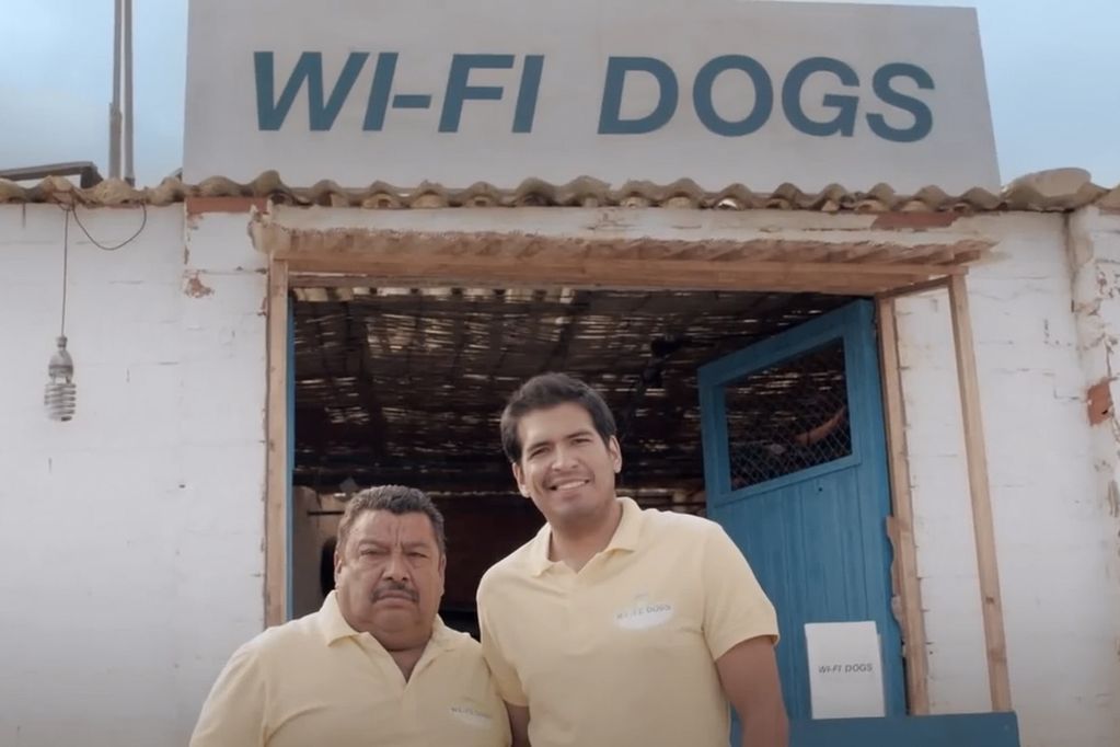 wifidogs.jpg