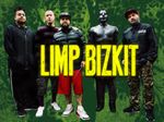 rtl_2015_limp_bizkit.jpg