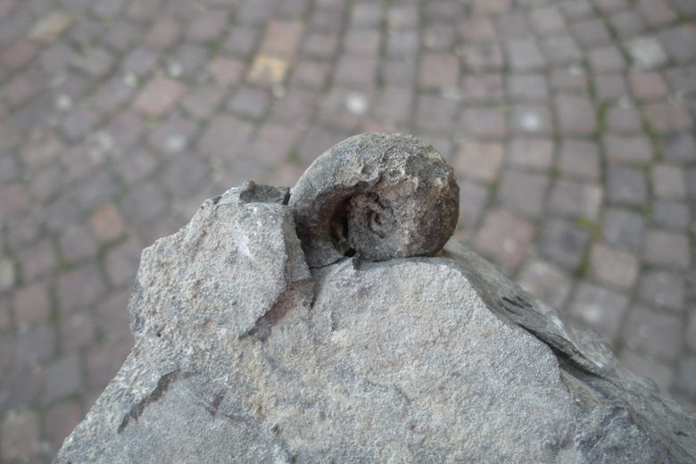 bletterbachschlucht_schnecke_barfuss.jpg
