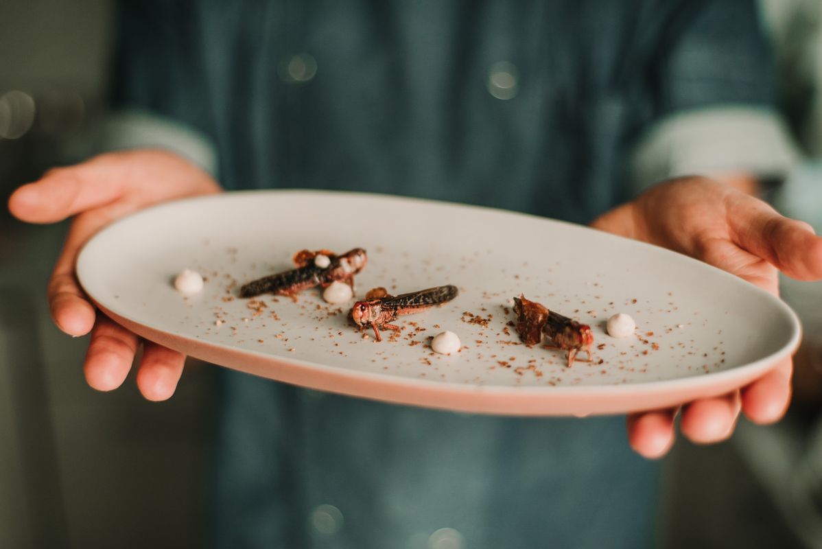 Insekten Kochen (c) Landhaus Superfood.jpg