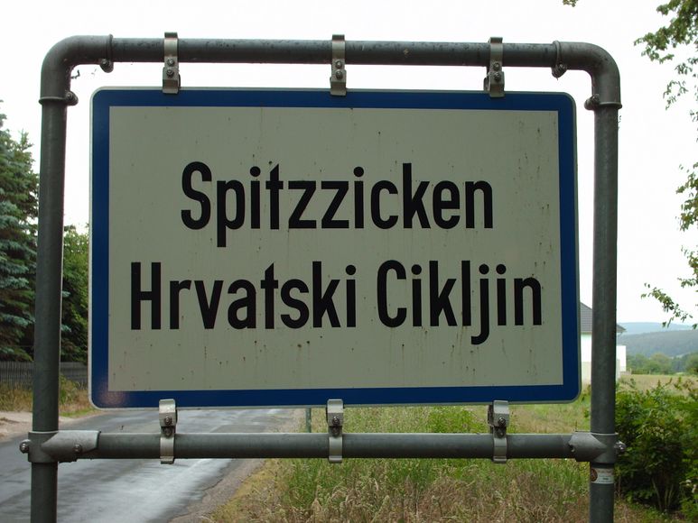 Spitzzicken_-_Hrvatski_Cikljin