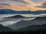 nature-3038995_1280
