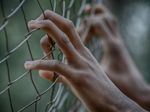 fence-2163951_1280