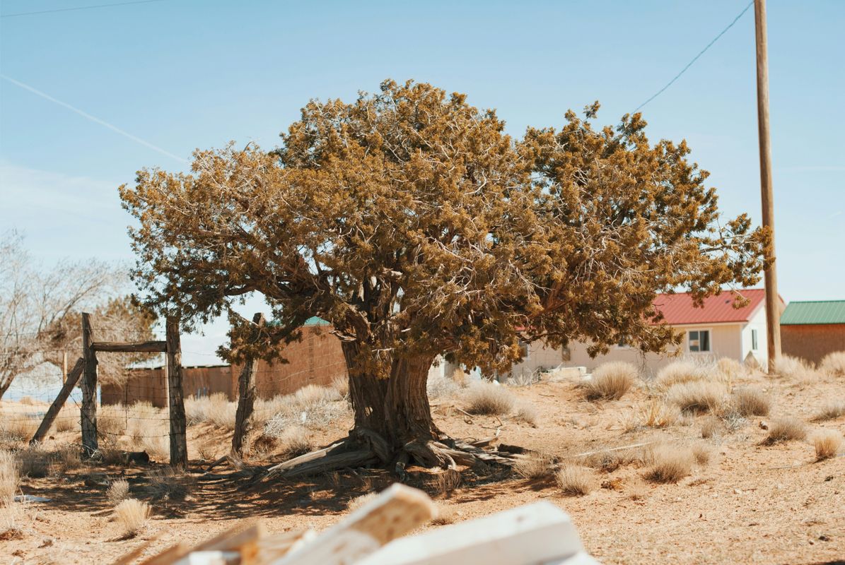 aubrey-odom-6gotssLSUp4-unsplash